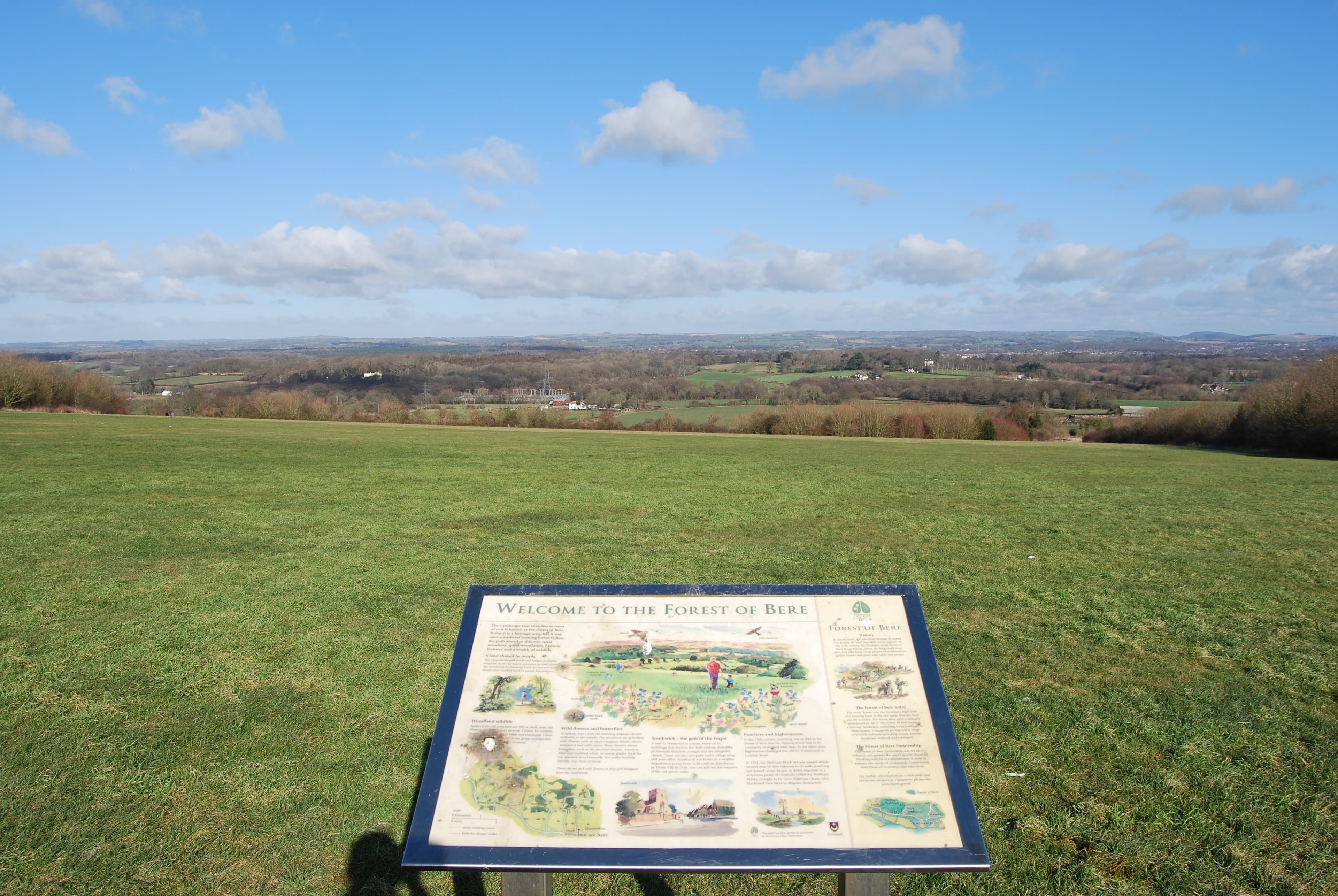 Forest of Bere — ancient woodland near Cowplain, Hampshire